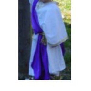 Caesar Costume Handmade 2T